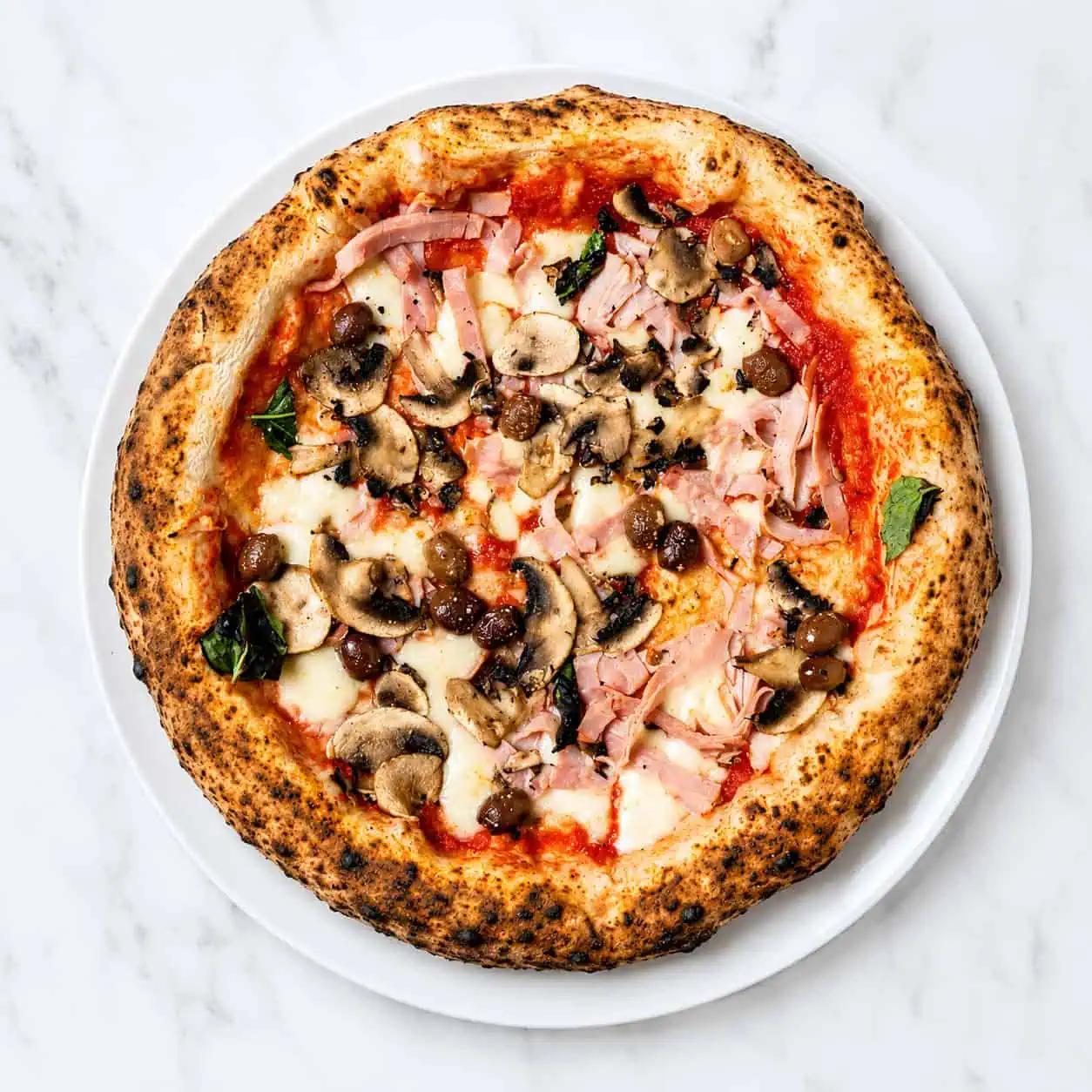 Capricciosa Pizza - Solania San Marzano, Fior di Latte, Double Smoked Shoulder Ham, Mushroom, Gaeta Black Olives, Basil, EVOO