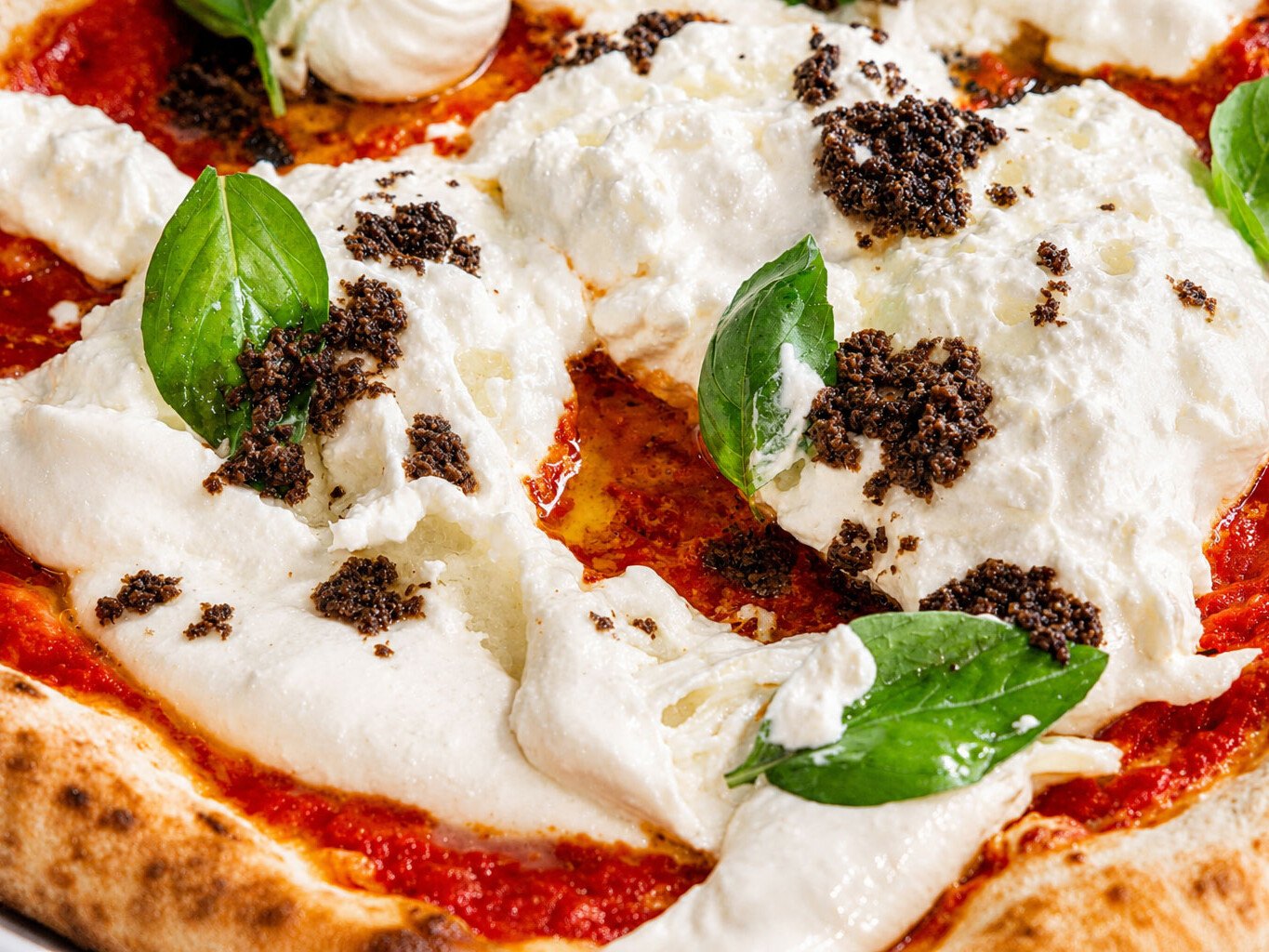 Close-up of a Neapolitan pizza topped with creamy fior di latte, fresh basil leaves, and black truffle.