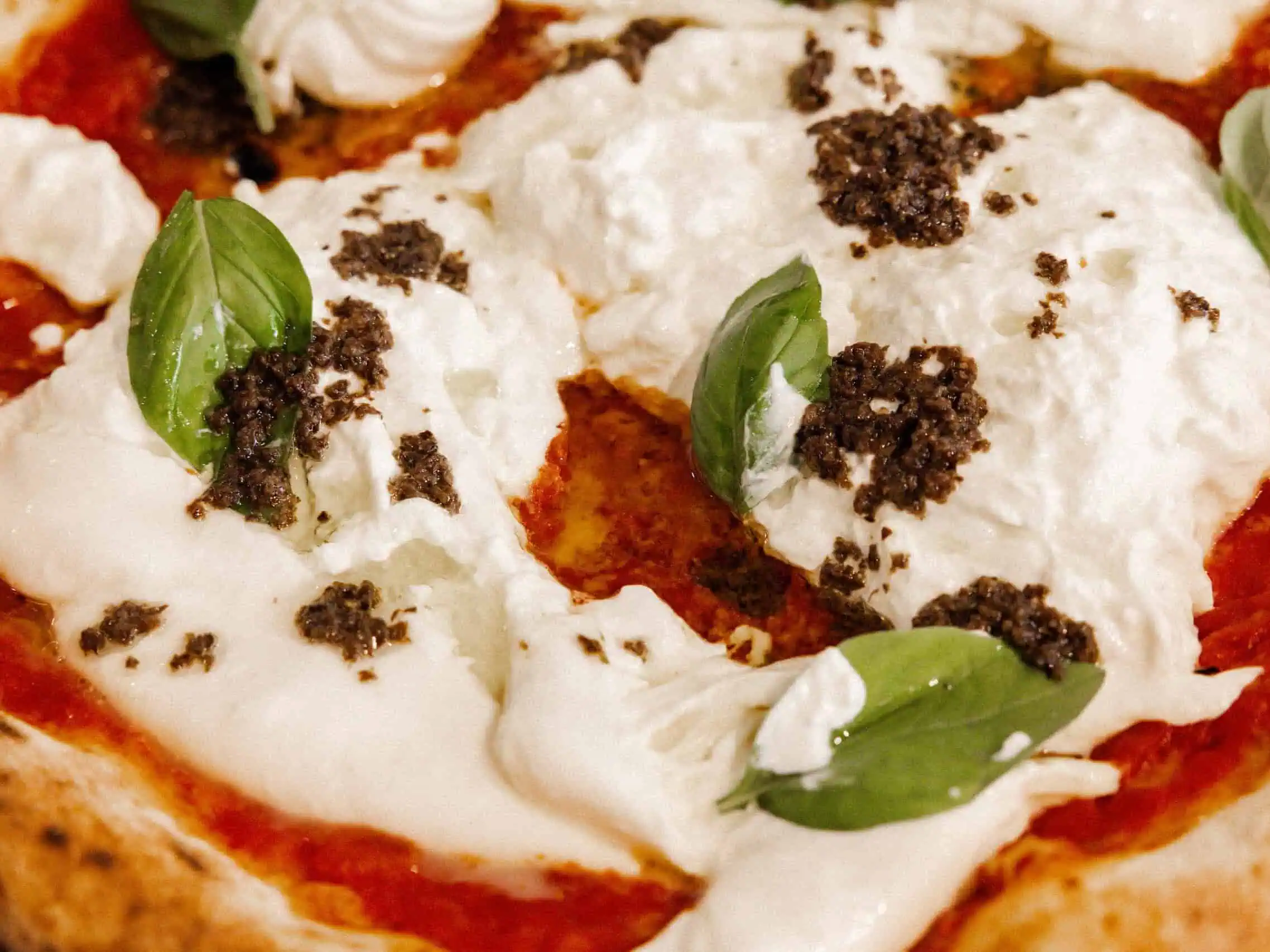 Close-up of a Neapolitan pizza topped with creamy fior di latte, fresh basil leaves, and black truffle.