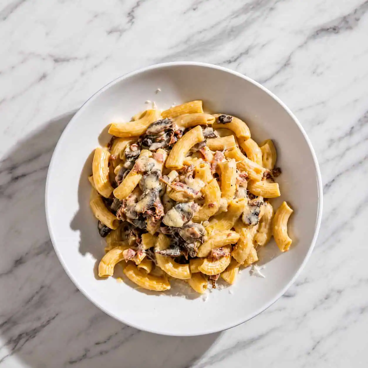 Rigatoni Boscaiola - Rigatoni, Creamy Sauce, Crispy Prosciutto di Parma, Mushrooms, Pepper, Grana Padano DOP